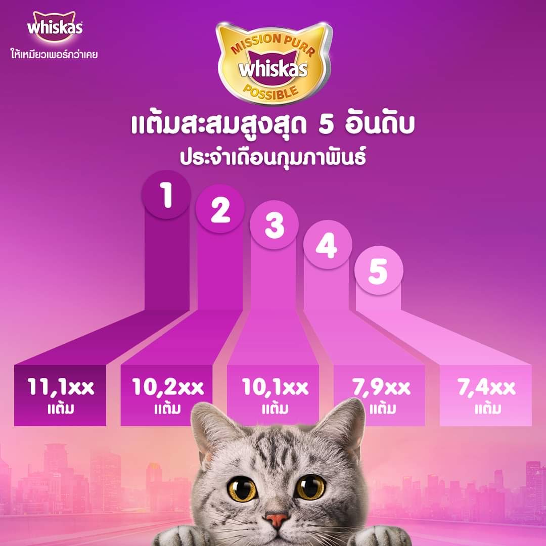 ชิงโชค จับรางวัล ขออนุญาตชิงโชค ชิงโชคครบวงจร